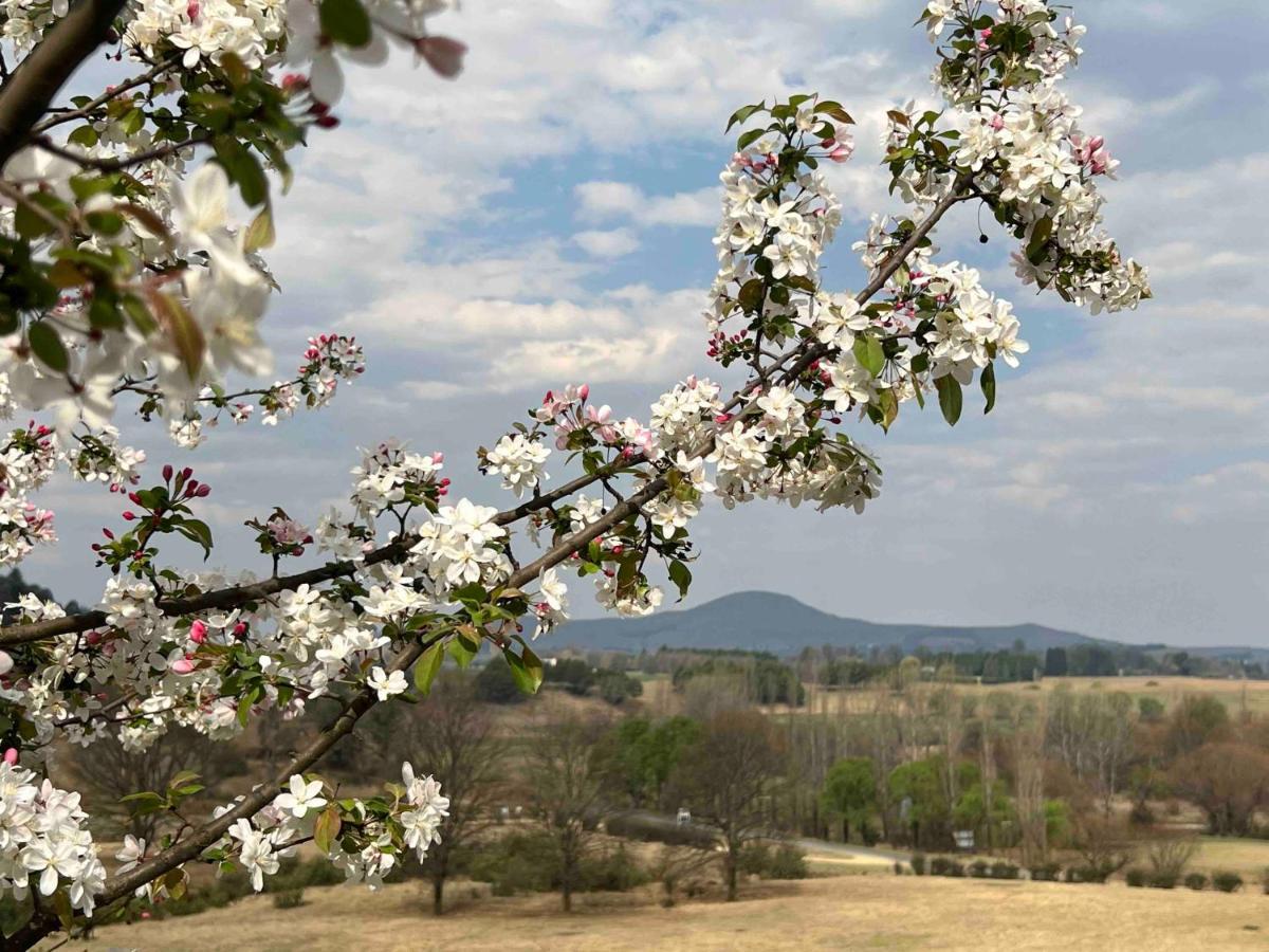 Malachite Manor Underberg Dış mekan fotoğraf