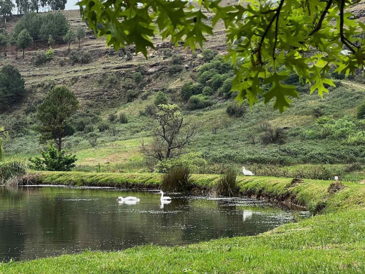 Malachite Manor Underberg Dış mekan fotoğraf